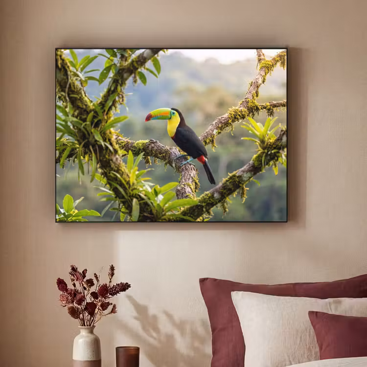 Toekan - Jungle - Natuur - Kleurrijk Textielframe zwart klein -sfeer1