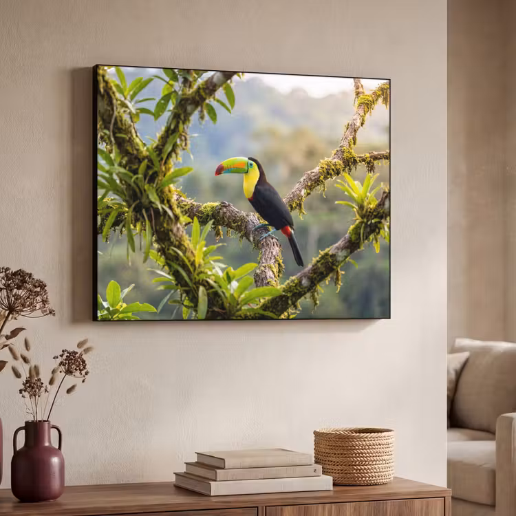 Toekan - Jungle - Natuur - Kleurrijk Textielframe zwart klein -sfeer3
