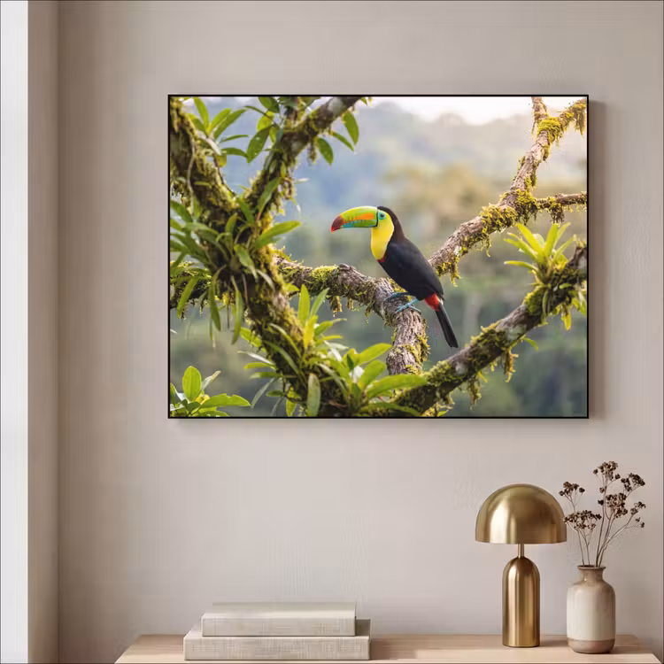 Toekan - Jungle - Natuur - Kleurrijk Textielframe zwart klein -sfeer2