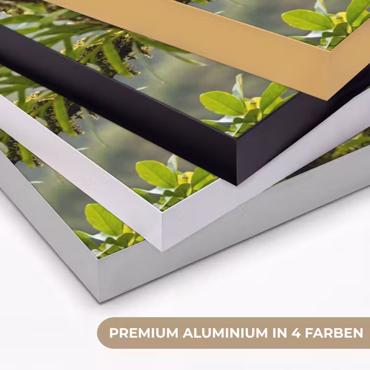 Toekan - Jungle - Natuur - Kleurrijk Textielframe zwart klein -USP_kleurenDE