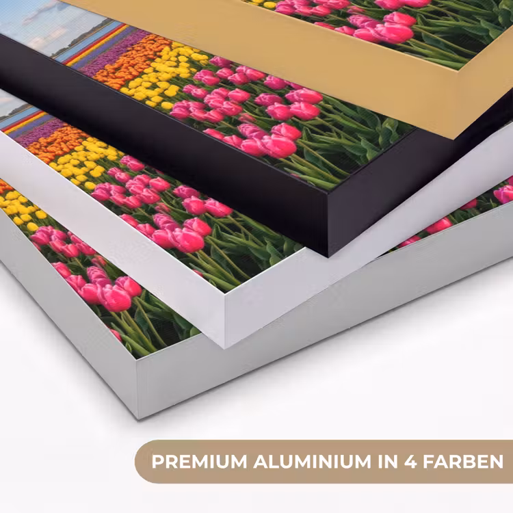Tulpen - Holland - Molen - Kleurrijk Textielframe zwart klein -USP_kleurenDE