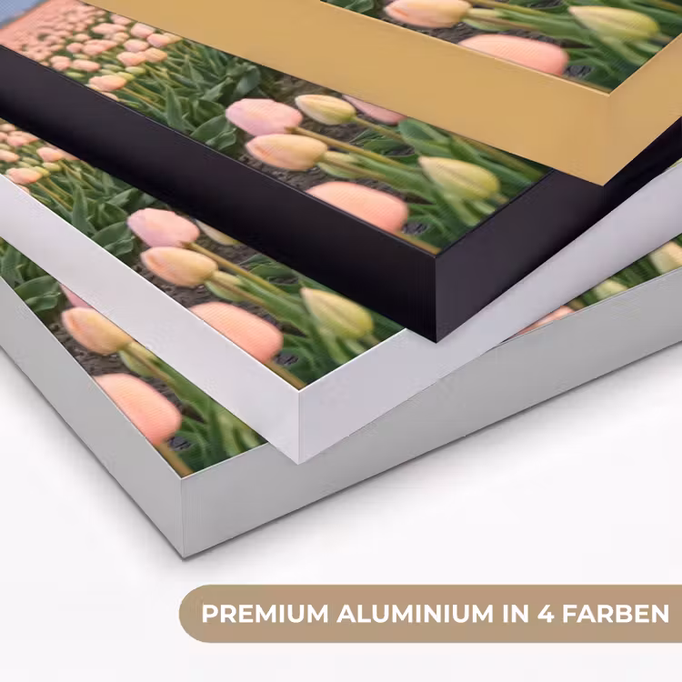 Tulpen - Landschap - Roze Textielframe zwart klein -USP_kleurenDE