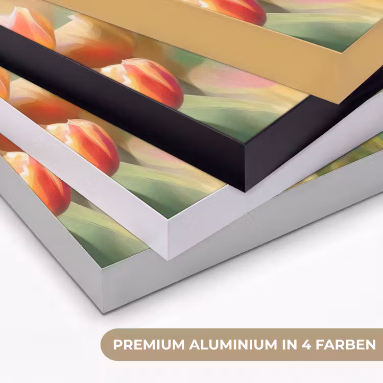 Tulpen - Sprookjesachtig - Kleurrijk Textielframe zwart klein -USP_kleurenDE