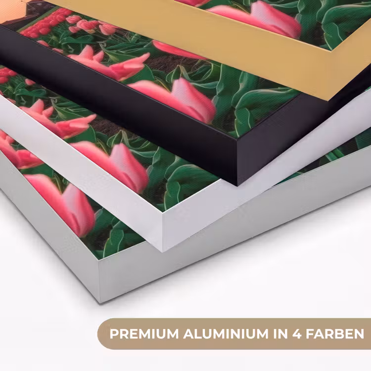 Tulpen - Molen - Nederland Textielframe zwart klein -USP_kleurenDE