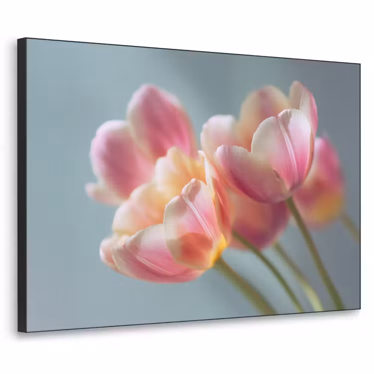 Tulpen - Roze - Stelen Textielframe zwart klein -3d