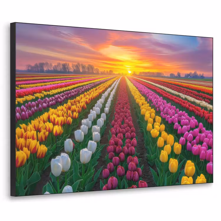 Tulpenveld - Zonsondergang - Kleurrijk Textielframe zwart klein -3d