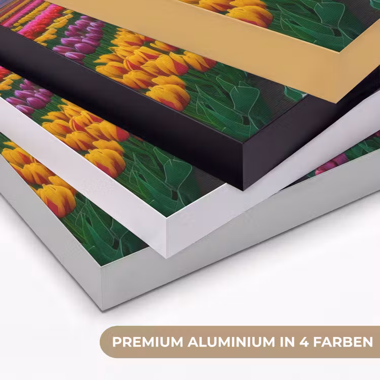 Tulpenveld - Zonsondergang - Kleurrijk Textielframe zwart klein -USP_kleurenDE