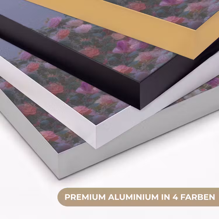 Ufo - Rozen - Pastelkleuren Textielframe zwart klein -USP_kleurenDE