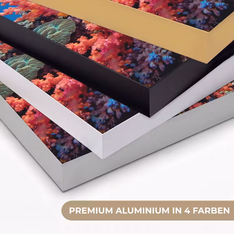 Onderwater - Koraalrif - Vissen - Oceaan - Natuur Textielframe zwart klein -USP_kleurenDE