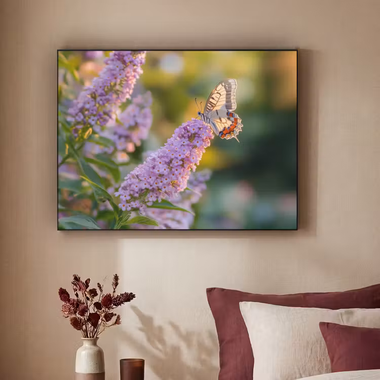 Sierlijke - Vlinder - Paarse - Bloemen Textielframe zwart klein -sfeer1