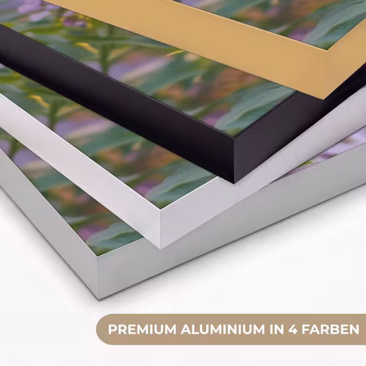 Sierlijke - Vlinder - Paarse - Bloemen Textielframe zwart klein -USP_kleurenDE