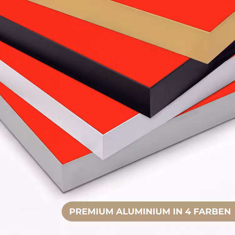 Vibrant - Vermilion - Rood Textielframe zwart klein 947 -USP_kleurenDE
