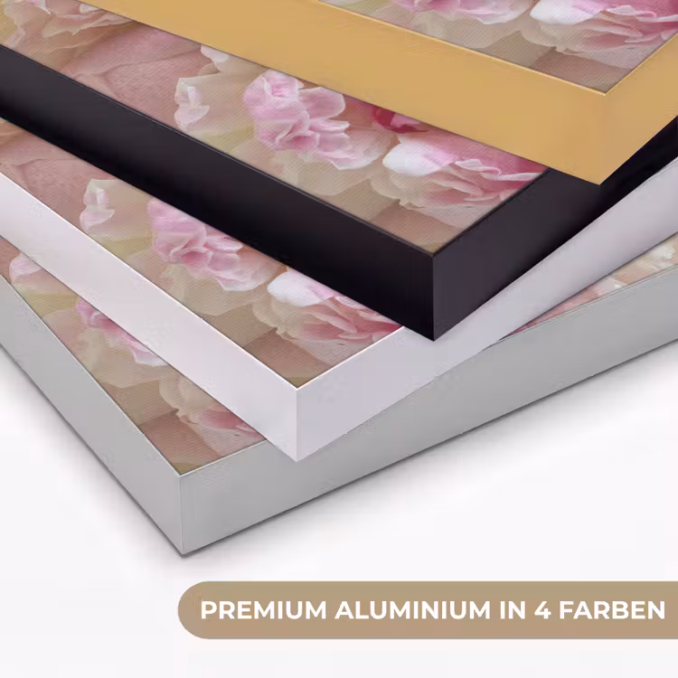 Vintage - Bloemen - Rozen - Natuur Textielframe zwart klein -USP_kleurenDE