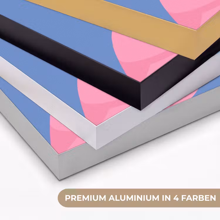 Vogel - Paar - Dieren - Modern - Roze Textielframe zwart klein -USP_kleurenDE
