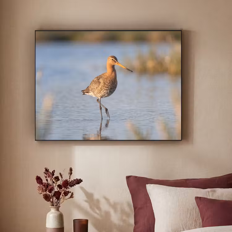 Vogel - Steltloper - Water - Natuur Textielframe zwart klein -sfeer1