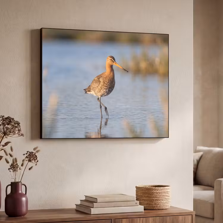 Vogel - Steltloper - Water - Natuur Textielframe zwart klein -sfeer3
