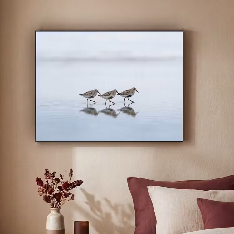 Vogels - Water - Grijs Textielframe zwart klein -sfeer1