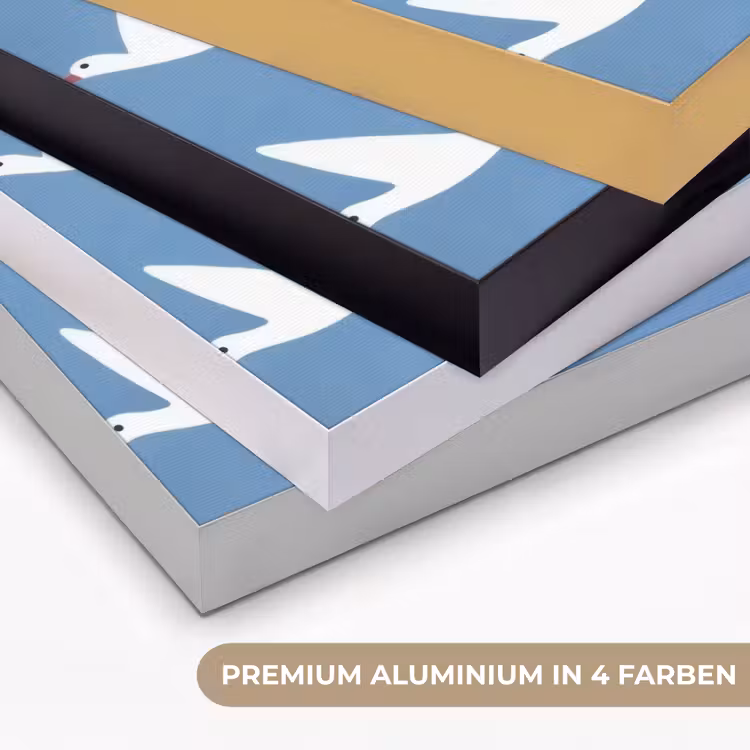Vogels - Wit - Patroon Textielframe zwart klein -USP_kleurenDE