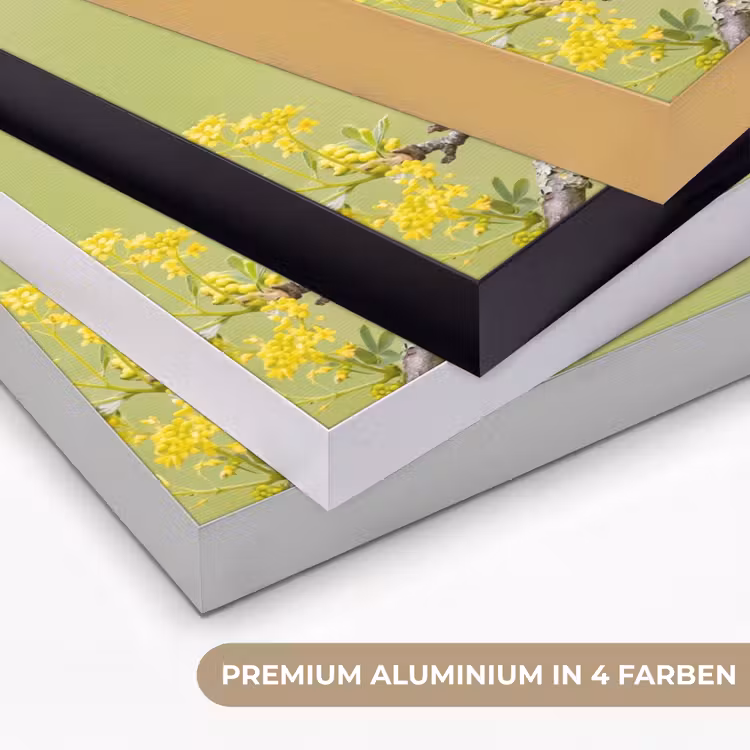 Vogel - Tak - Natuur - Kleurrijk Textielframe zwart klein -USP_kleurenDE