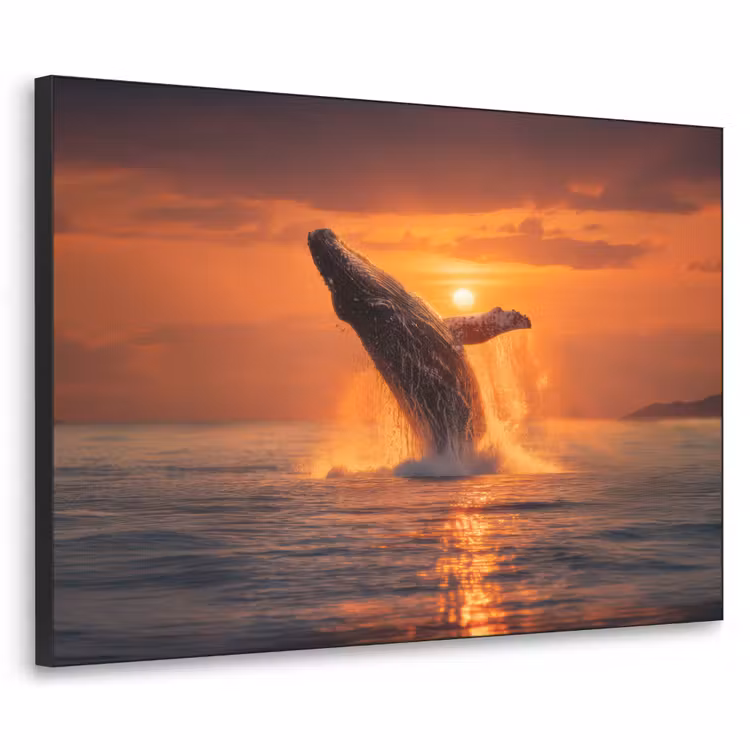 Walvis - Zon - Zee Textielframe - compleet frame klein -3d