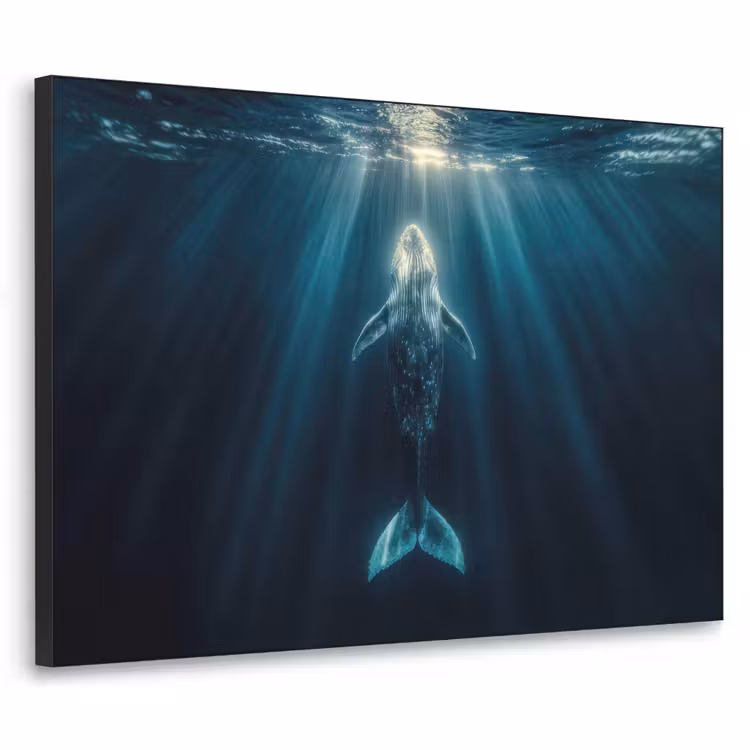 Walvis - Water - Zonnestralen - Blauw Textielframe zwart klein -3d