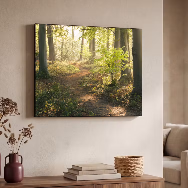 Bos - Bomen - Pad - Zon - Planten - Bladeren - Natuur Textielframe zwart klein -sfeer3