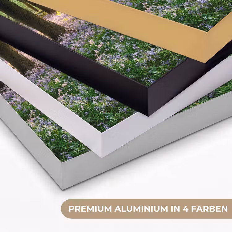 Bos - Bloemen - Lavendel - Zon - Paars - Natuur Textielframe zwart klein -USP_kleurenDE