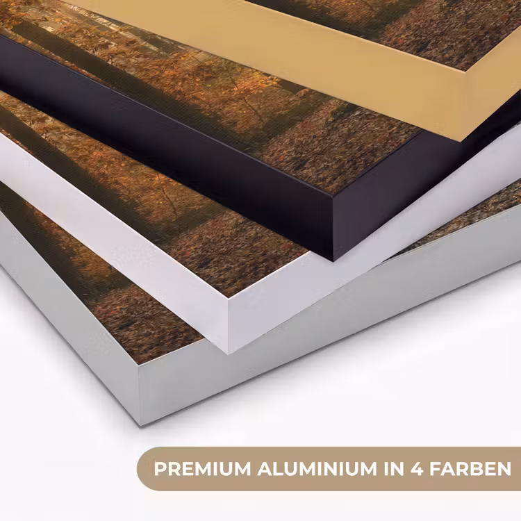 Bos - Herfst - Zon - Landschap - Natuur - Bomen - Bladeren Textielframe zwart klein -USP_kleurenDE
