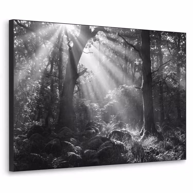 Bos - Lichtstralen - Natuur - Zwart-wit Textielframe zwart klein -3d