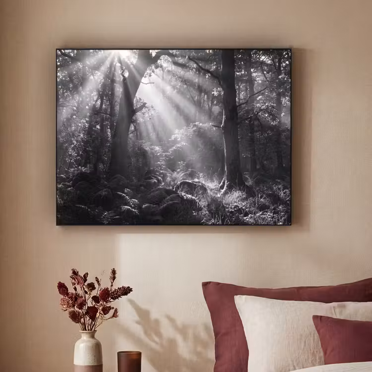 Bos - Lichtstralen - Natuur - Zwart-wit Textielframe zwart klein -sfeer1