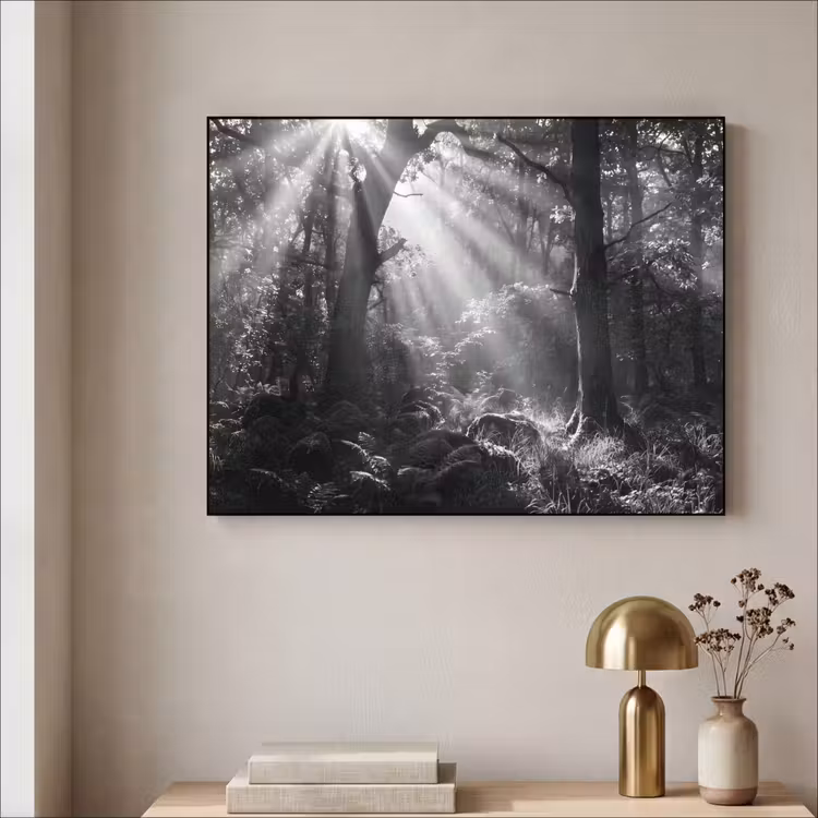 Bos - Lichtstralen - Natuur - Zwart-wit Textielframe zwart klein -sfeer2