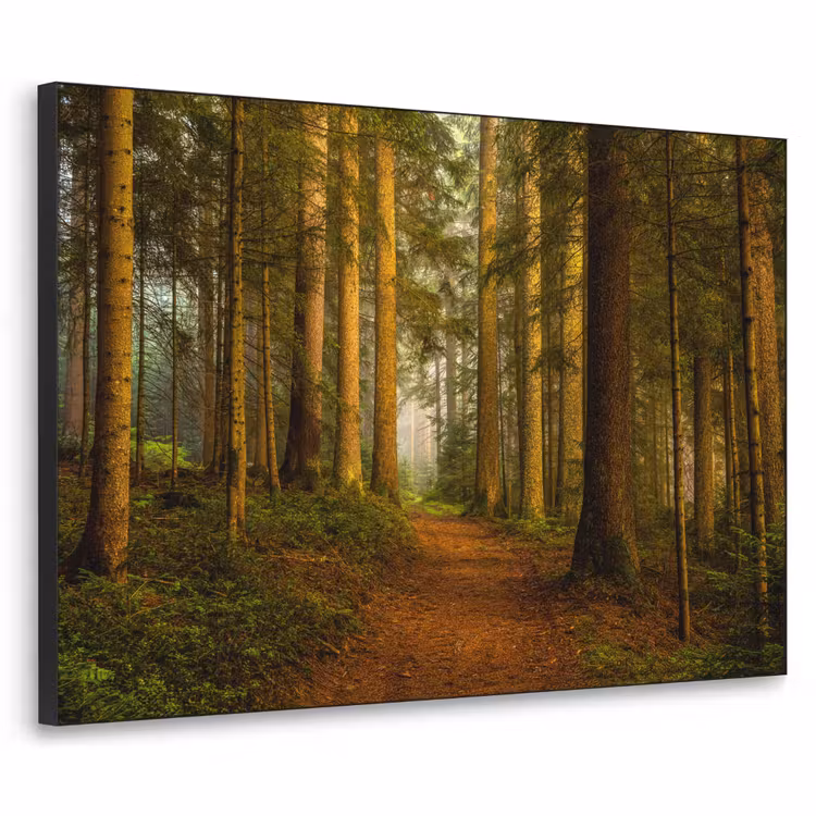 Bos - Natuur - Bomen - Landschap - Bladeren Textielframe zwart klein -3d