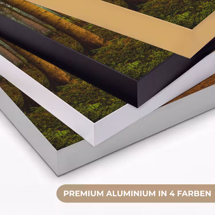 Bos - Natuur - Bomen - Landschap - Bladeren Textielframe zwart klein -USP_kleurenDE