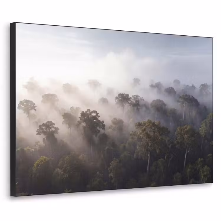 Bos - Mist - Natuur - Groen Textielframe zwart klein -3d