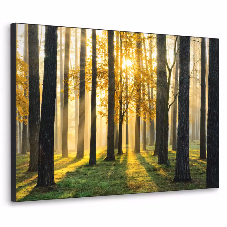 Bos - Zon - Bomen - Gras - Landschap - Natuur Textielframe zwart klein -3d