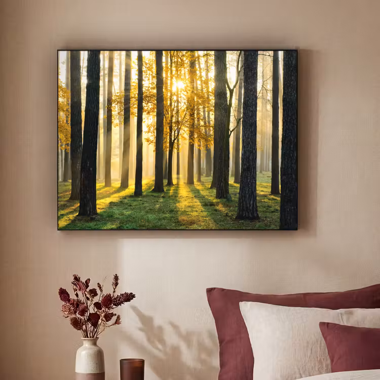 Bos - Zon - Bomen - Gras - Landschap - Natuur Textielframe zwart klein -sfeer1