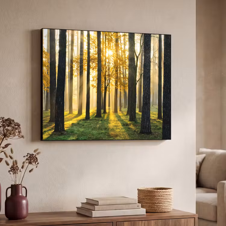 Bos - Zon - Bomen - Gras - Landschap - Natuur Textielframe zwart klein -sfeer3