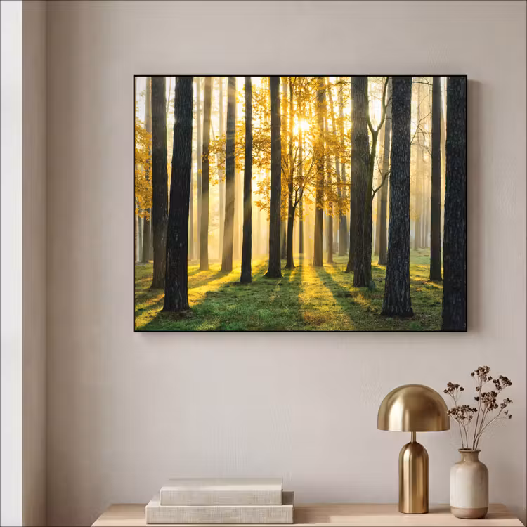Bos - Zon - Bomen - Gras - Landschap - Natuur Textielframe zwart klein -sfeer2