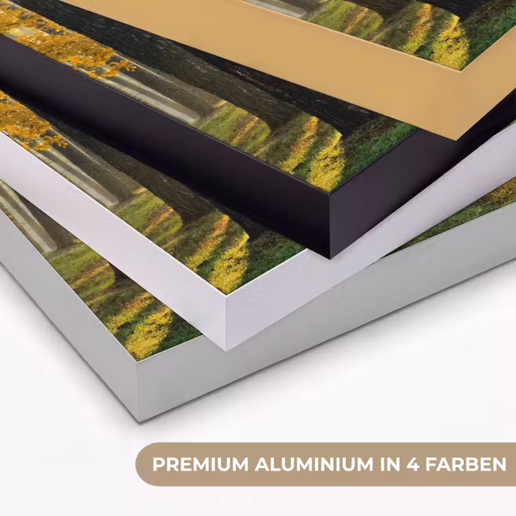 Bos - Zon - Bomen - Gras - Landschap - Natuur Textielframe zwart klein -USP_kleurenDE