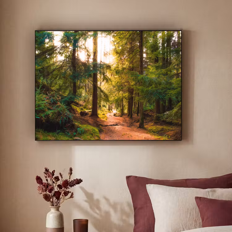 Bos - Pad - Bomen - Groen - Zon - Natuur Textielframe zwart klein -sfeer1