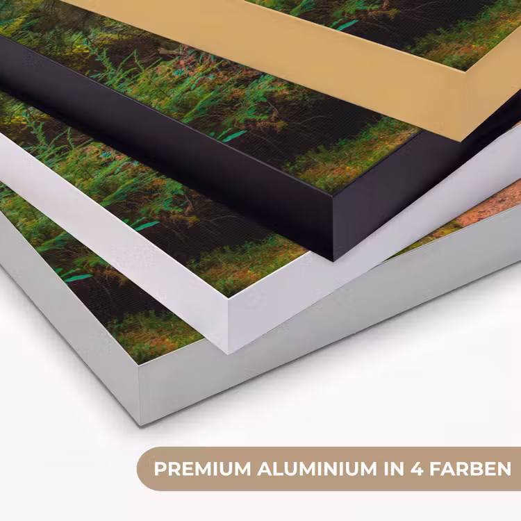 Bos - Pad - Bomen - Groen - Zon - Natuur Textielframe zwart klein -USP_kleurenDE
