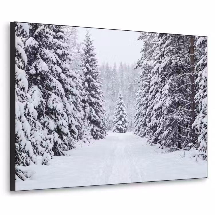Bos - Winter - Sneeuw - Pad - Natuur Textielframe zwart klein -3d