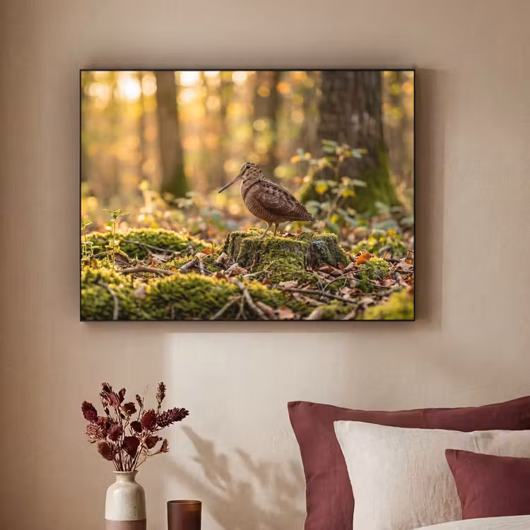 Houtsnip - Bos - Bladeren - Herfst - Gecamoufleerd Textielframe zwart klein -sfeer1