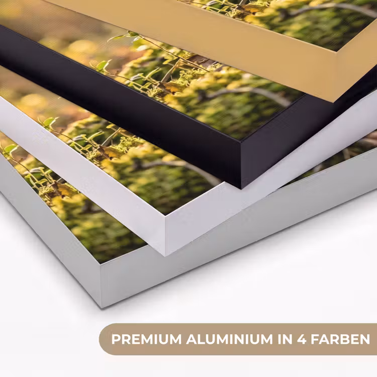 Houtsnip - Bos - Bladeren - Herfst - Gecamoufleerd Textielframe zwart klein -USP_kleurenDE
