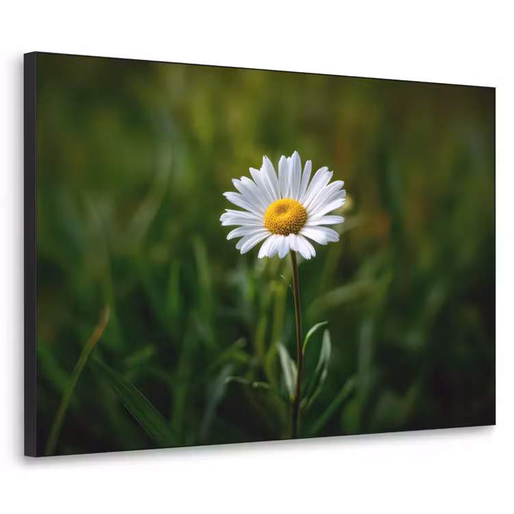 Wit - Madeliefje - Bloem - Gras Textielframe - compleet frame klein -3d