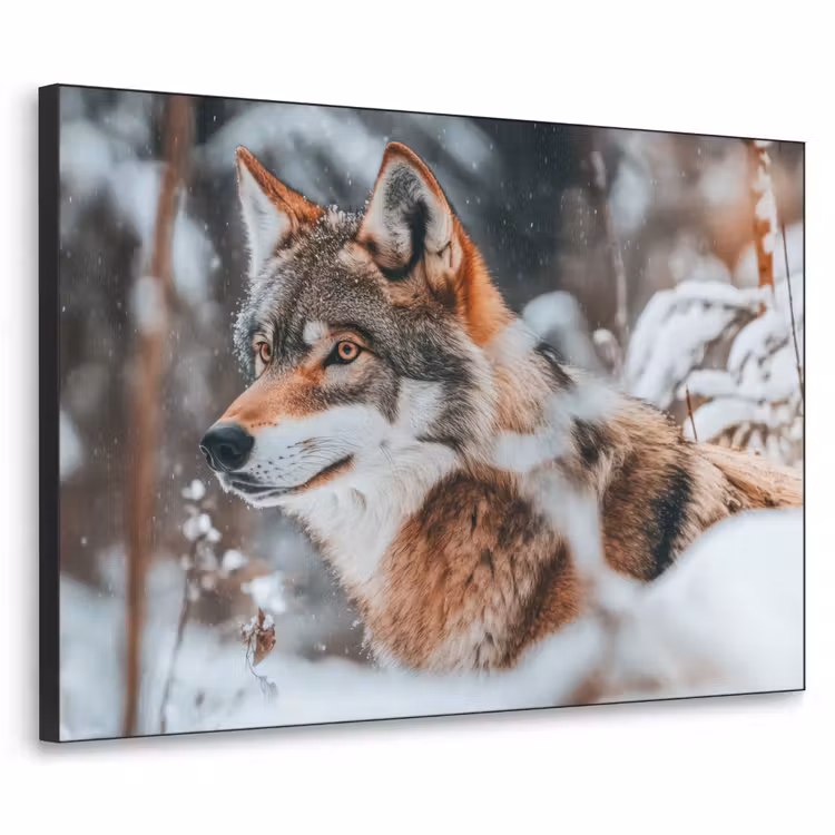 Wolf - Sneeuw - Winter - Dieren - Natuur - Sneeuw Textielframe - compleet frame klein -3d