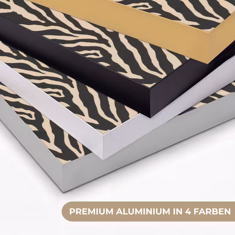 Zebra - Klassiek - Zwart Textielframe zwart klein 947 -USP_kleurenDE