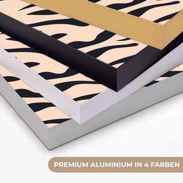 Zebraprint - Dynamisch - Roze Textielframe zwart klein -USP_kleurenDE