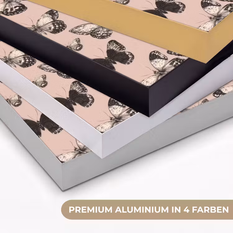 Tijdloos - Vlinders - Perzik Textielframe zwart klein 947 -USP_kleurenDE