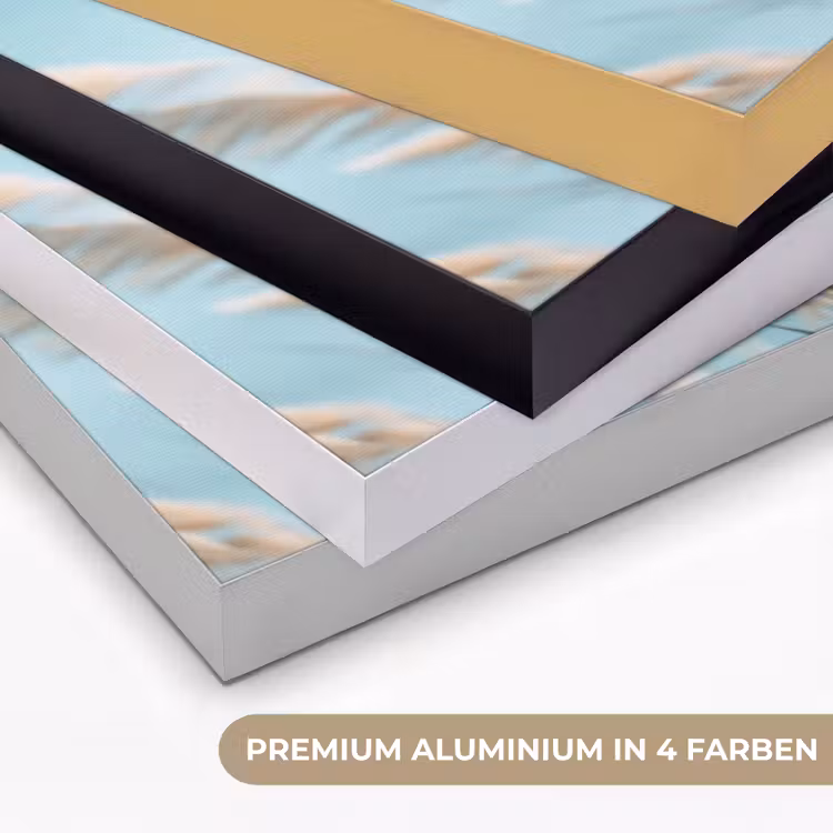 Siergras - Wind - Lichtbruin Textielframe zwart klein -USP_kleurenDE